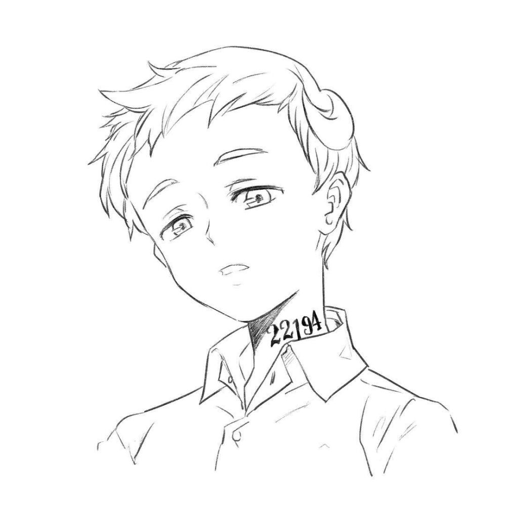 【约定的梦幻岛】诺曼
线稿