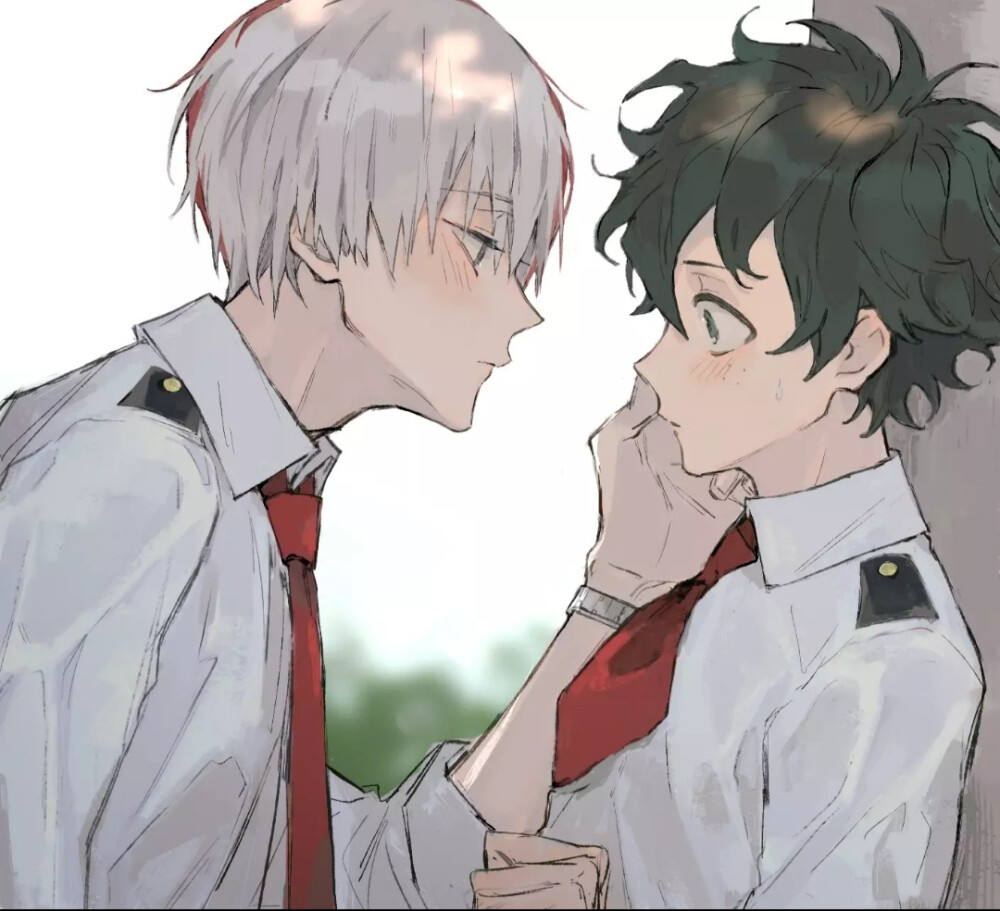 我的英雄学院轰焦冻