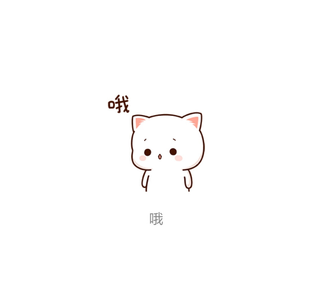 商桎岚# 蜜桃猫#表情#可爱头像