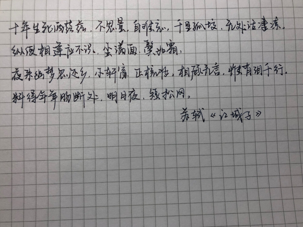 练习 钢笔 苏轼《江城子》