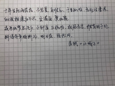 练习 钢笔 苏轼《江城子》