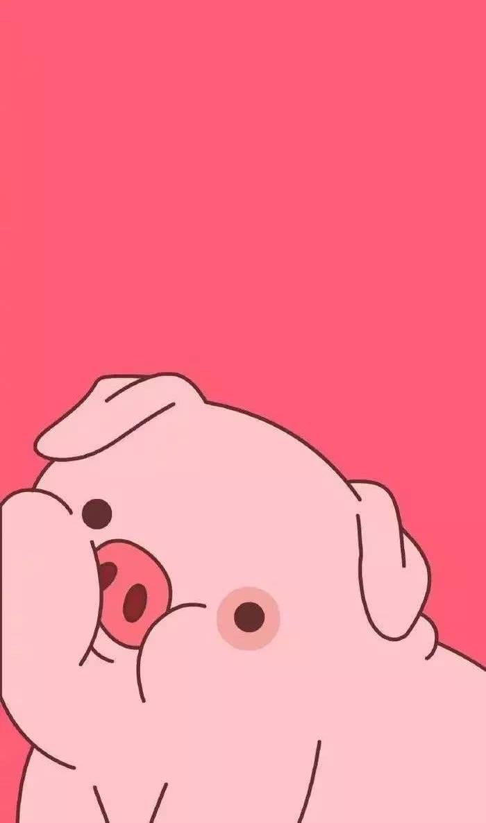 猪猪
可爱壁纸
