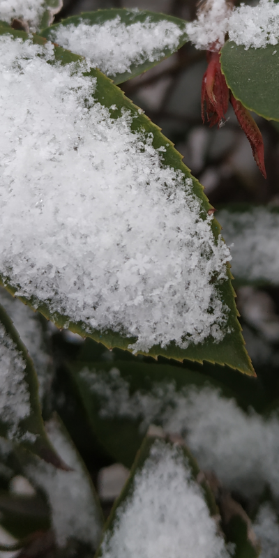 完美六瓣雪花！