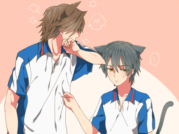 越前龙马手冢国光