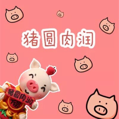 创意粘土猪 庆猪年 猪年快乐！！