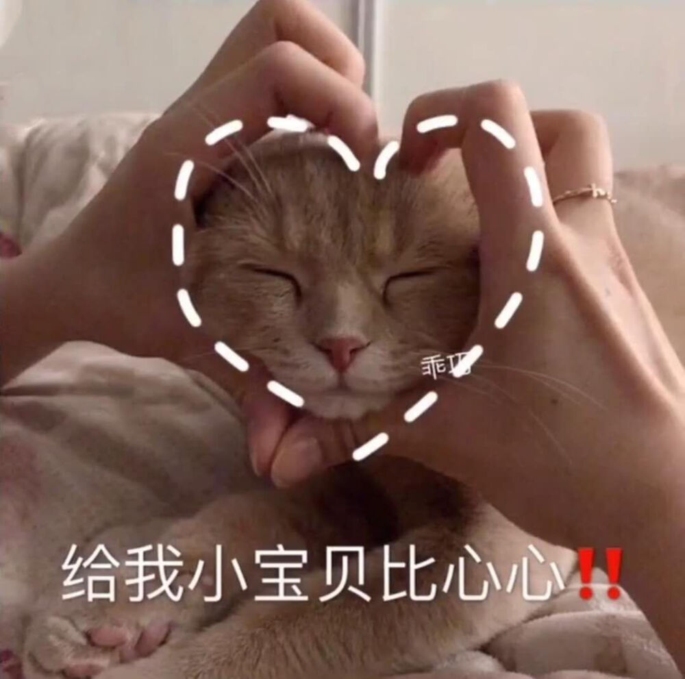 猫咪表情包嘻嘻 我也想上个推荐呀呀呀