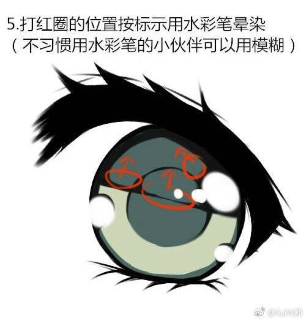 瞳孔