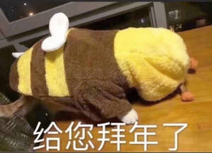 哈哈哈哈新年快乐呀