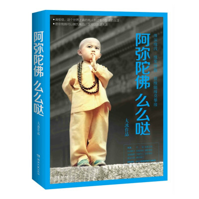 正版 阿弥陀佛么么哒 大冰著 12个不舍得读完的暖心励志故事 好吗好的+乖摸摸头作者大冰代表作之一 随笔青春励志丛书籍短篇小说集