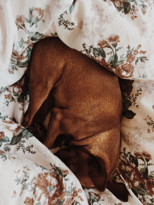 如今回家见你一面都不容易了(￣＾￣#)