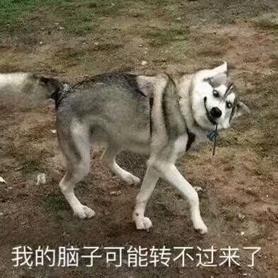 这是假期
亦是囚笼