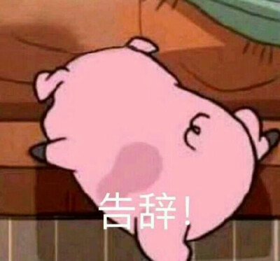 这是假期
亦是囚笼