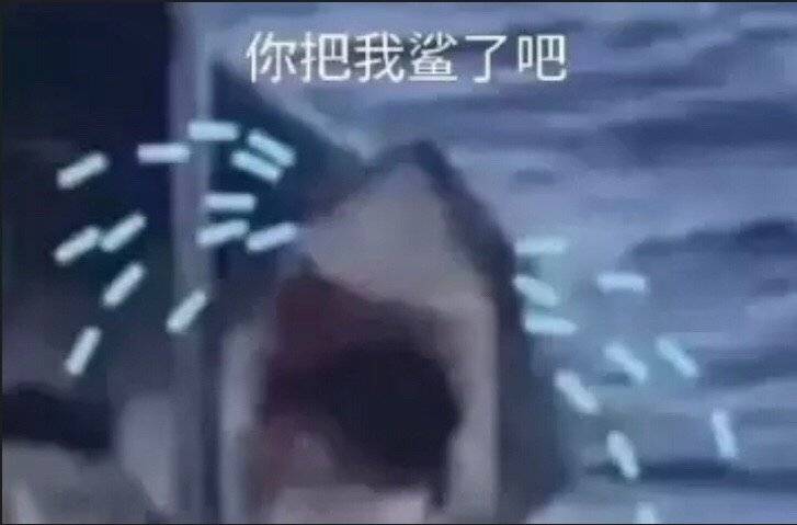 鲨了我