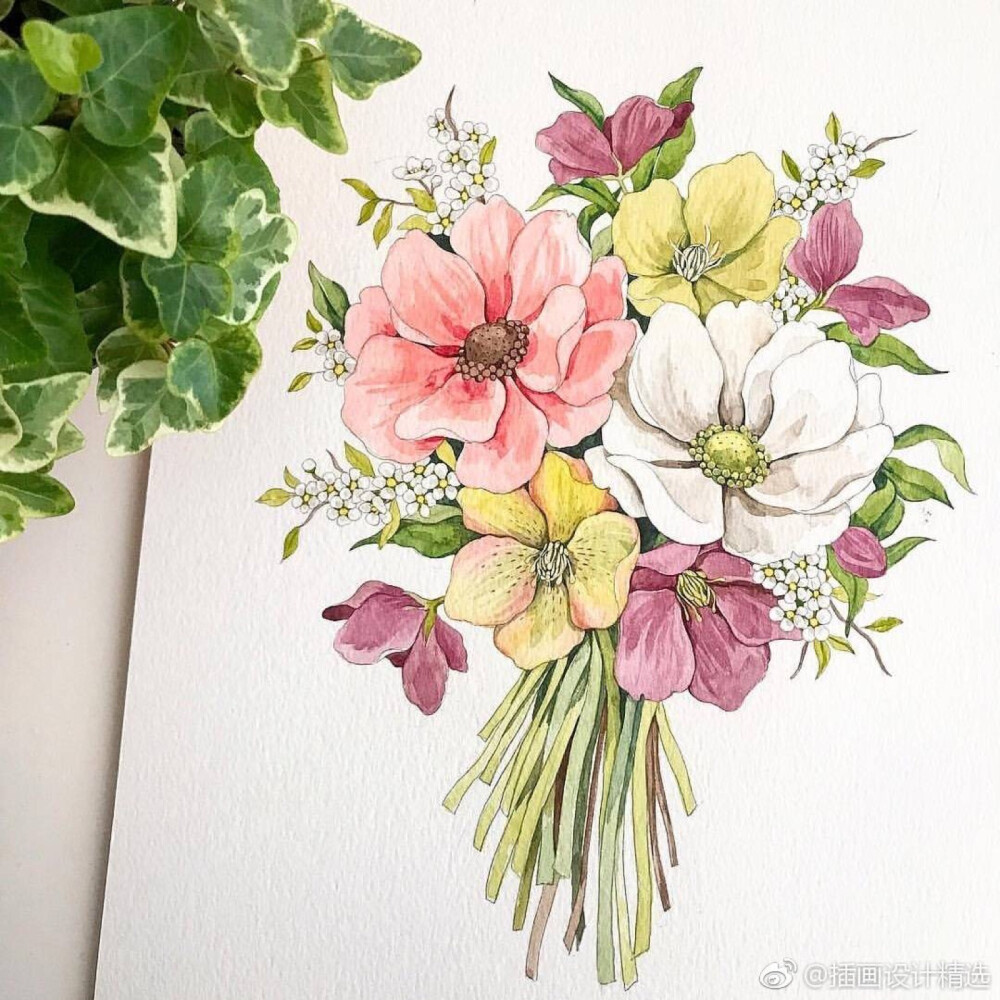 韩国插画师yirangkim水彩花卉植物一组67