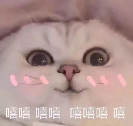 ♡
今日份的表情包呀~
萌娃 可爱 柠檬精 熊猫头 喵咪