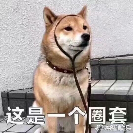 狗表情