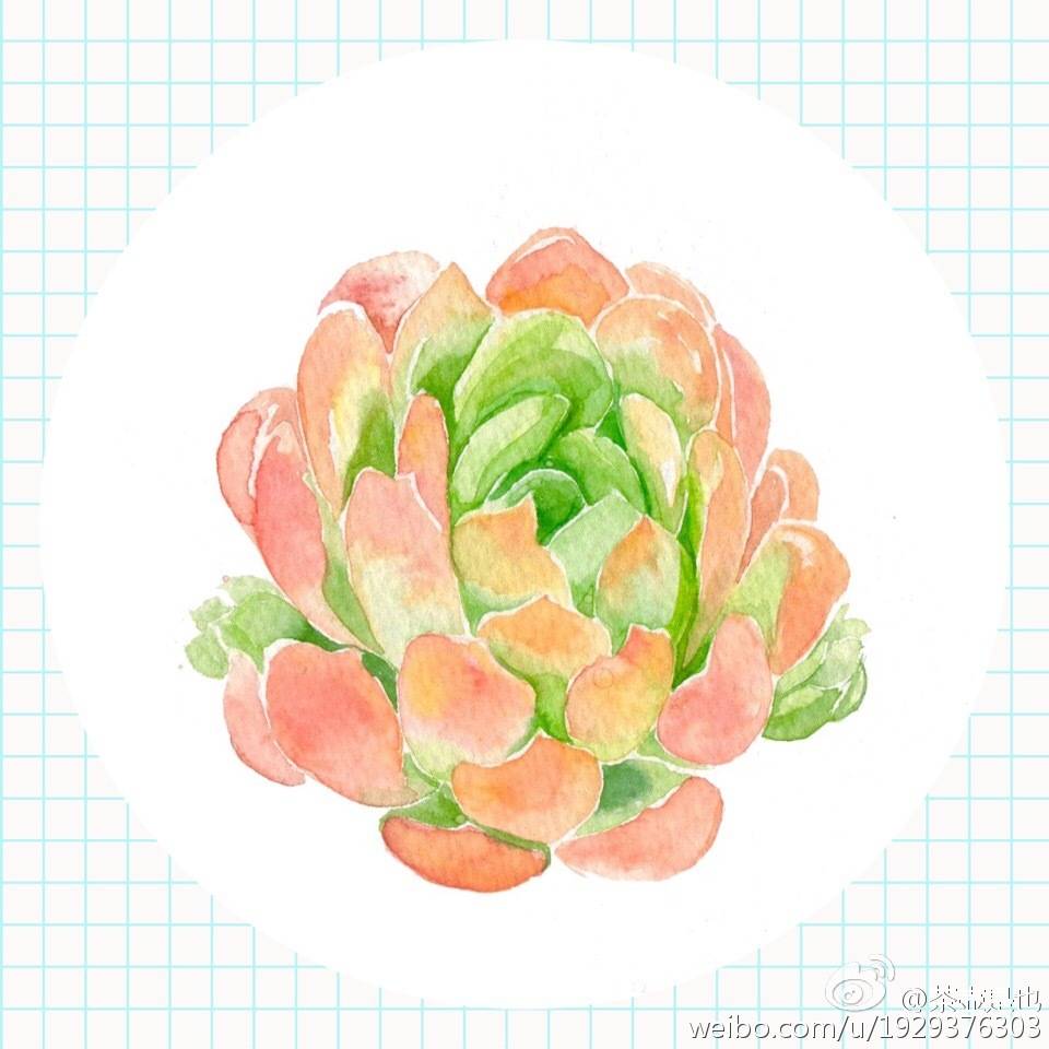 植物 花卉 多肉 手帐素材 插画 手绘 水彩 彩绘 板绘 动漫 头像 壁纸 背景
微博：茶壶是也