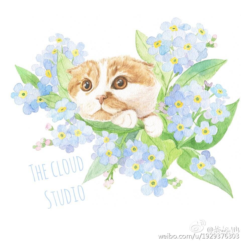 猫咪主子手帐素材插画手绘水彩彩绘板绘动漫头像壁纸背景