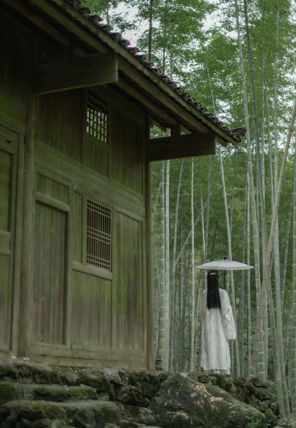 丹青客