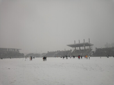 2018年的第一场雪 也是最后一场 在雪中漫步的感觉真好 脚下的雪被我踩的吱吱的响 可身边没有那个他