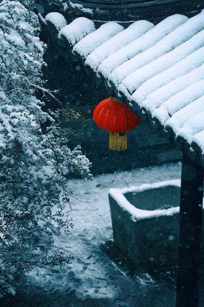 霜雪覆梦