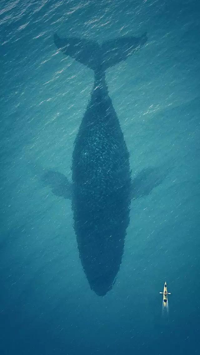 少年派奇幻漂流