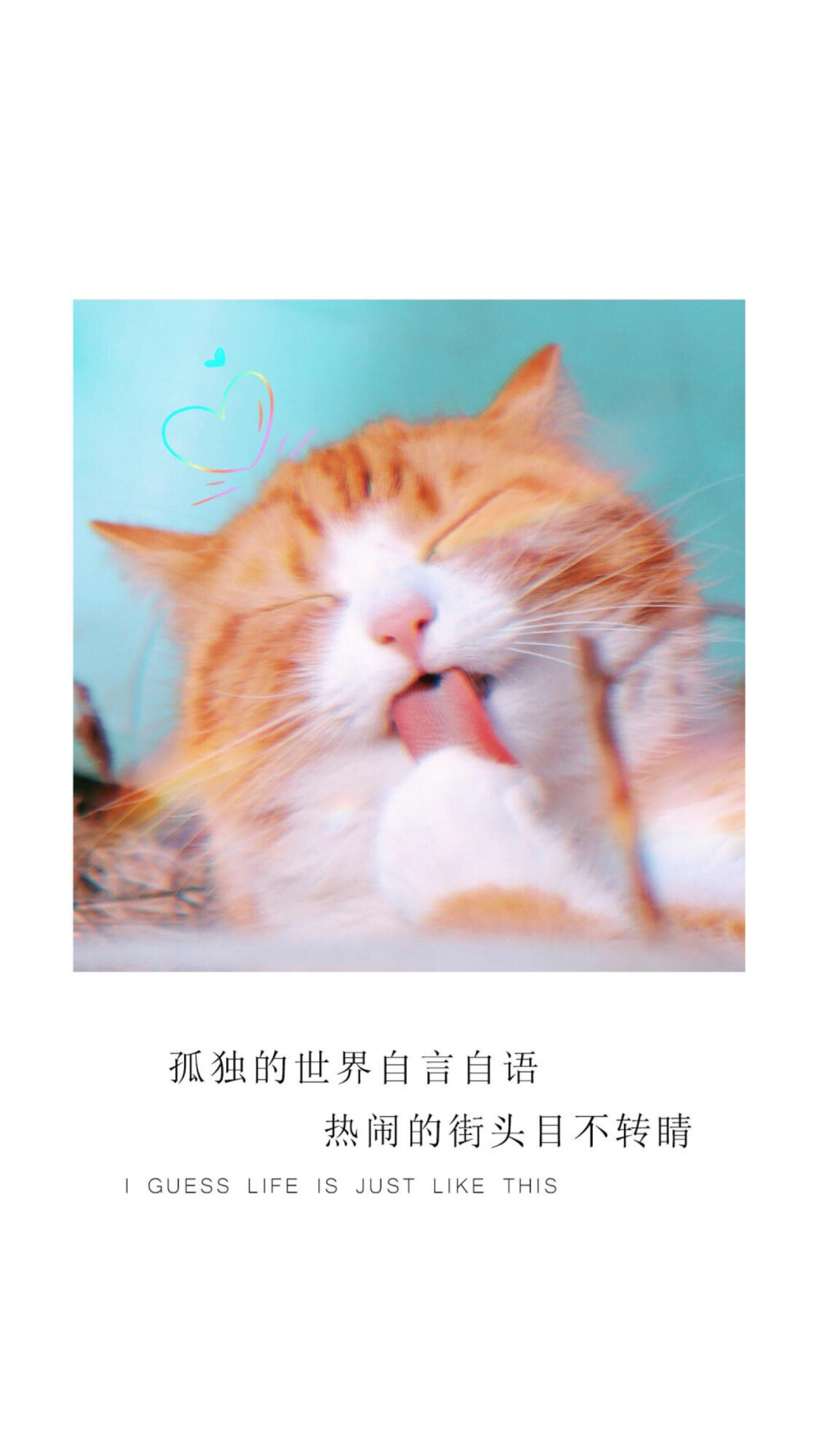 可爱 头像 壁纸 