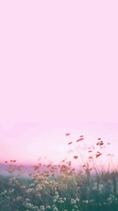 粉色壁纸♡背景