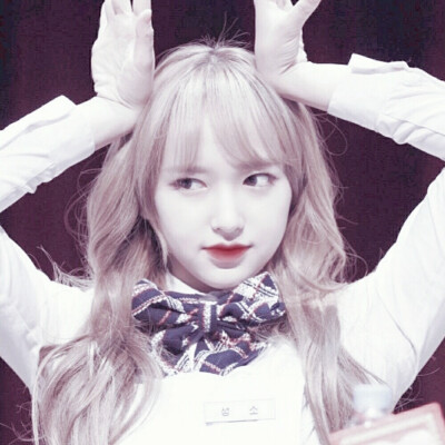 程潇头像/by沈灿阳