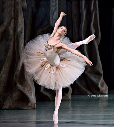芭蕾DREAM