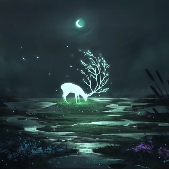 鹿- 堆糖,美图壁纸兴趣社区