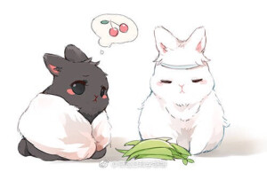 兔子