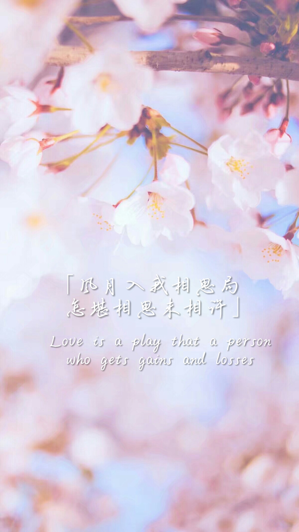 自制壁纸～
（句子是堆糖现找的）（笑哭）
Love is a play that a personwho gets gains and losses
「风月入我相思局，怎堪相思未相许。」
