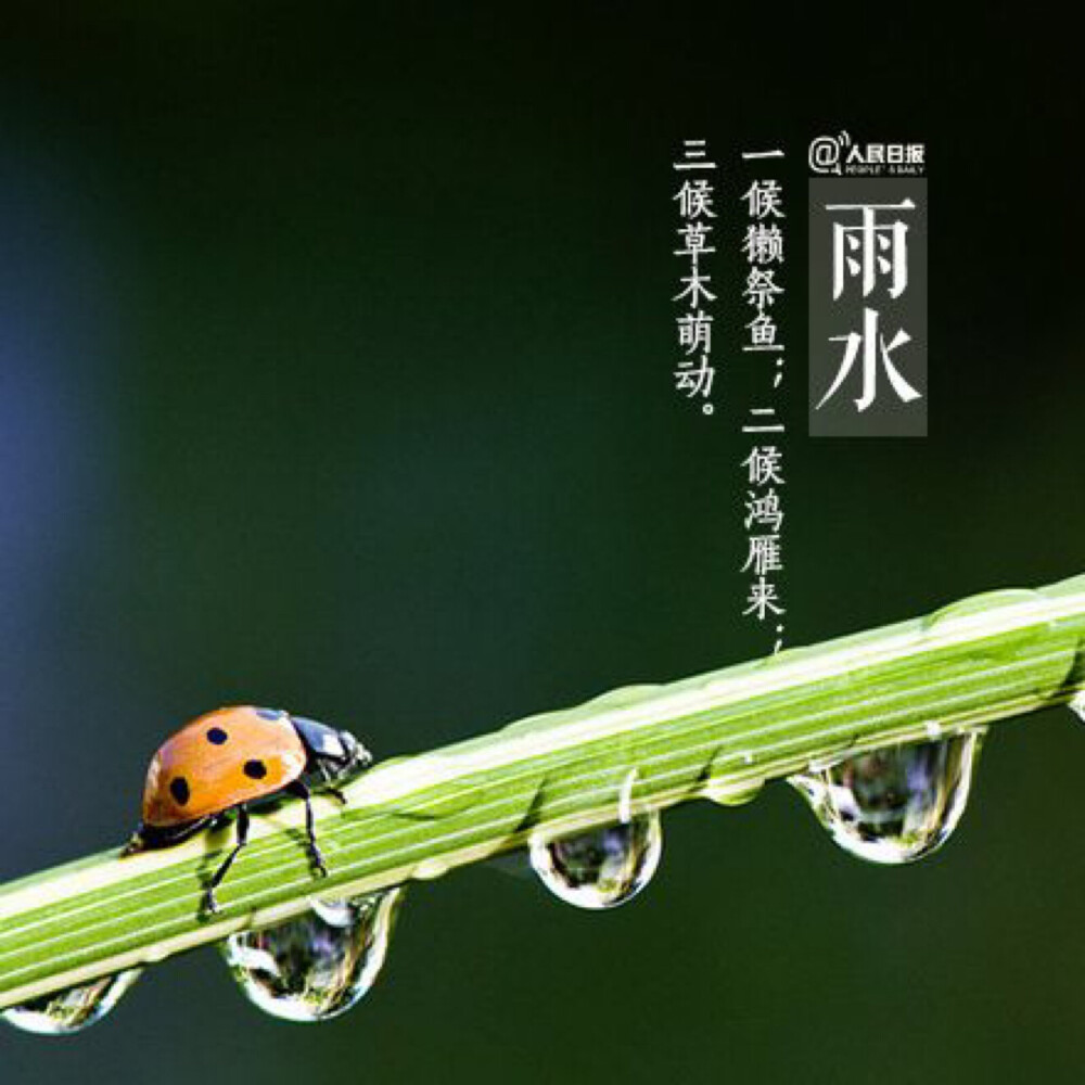 雨水