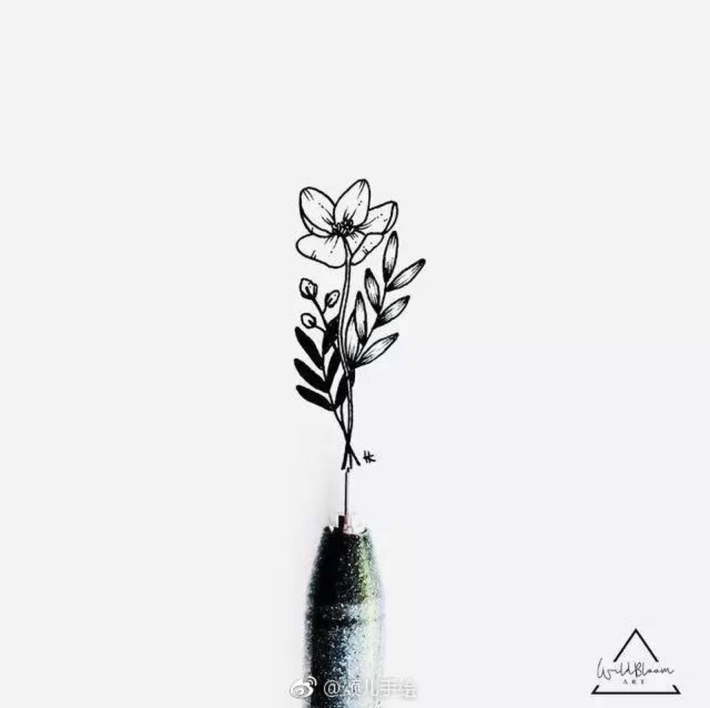 针管笔手绘