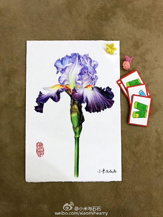 彩铅 花卉 静物 花朵 二次搬运