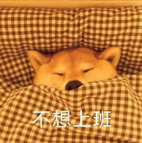 柴犬表情包