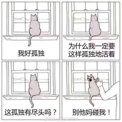 文字 心情