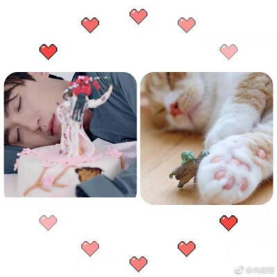 朱一龙和猫真的一毛一样，