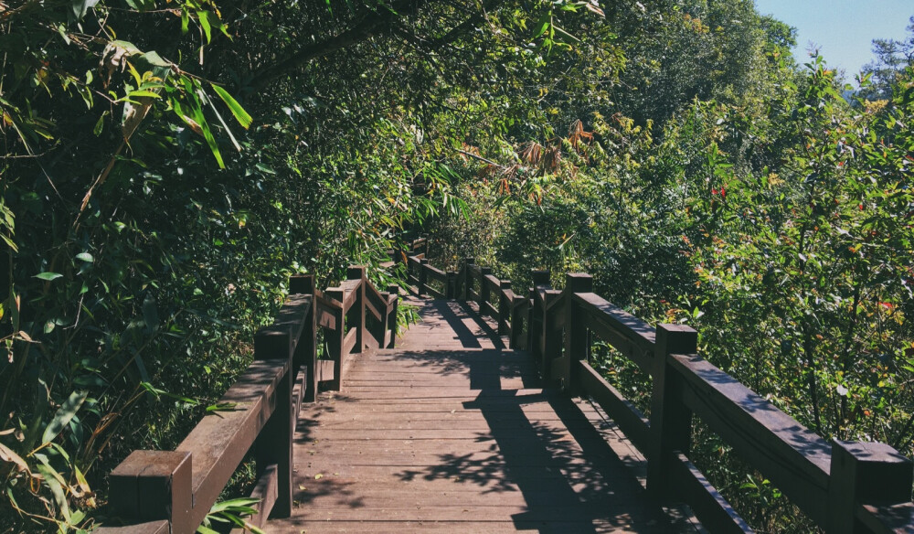 云南 普洱 梅子湖沿湖栈道