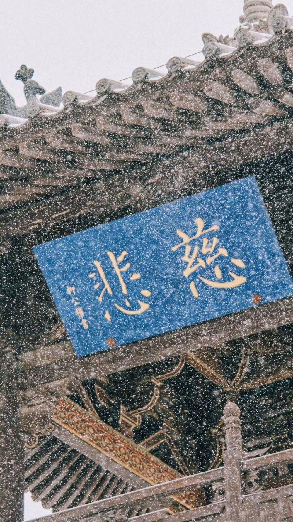 壁纸