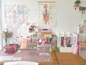 Study Corner