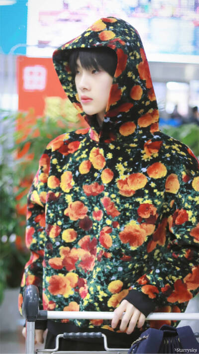 20190209 北京✈青岛