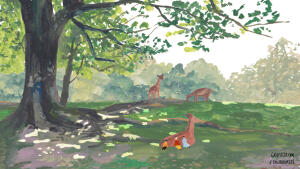 我们再也来不及认识了