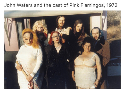 Pink Flamingos