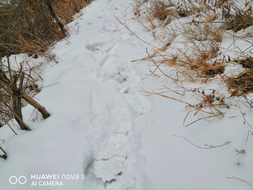 我慢慢地听，雪落下的声音，
闭着眼睛幻想它不会停，
你没法靠近，决不是太薄情，
只是贪恋窗外的好风景。
我慢慢地品，雪落下的声音，
仿佛是你贴着我叫卿卿，
睁开了眼睛，漫天的雪无情
谁来赔这一生的好光景？