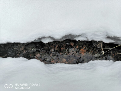 我慢慢地听，雪落下的声音，
闭着眼睛幻想它不会停，
你没法靠近，决不是太薄情，
只是贪恋窗外的好风景。
我慢慢地品，雪落下的声音，
仿佛是你贴着我叫卿卿，
睁开了眼睛，漫天的雪无情
谁来赔这一生的好光景？