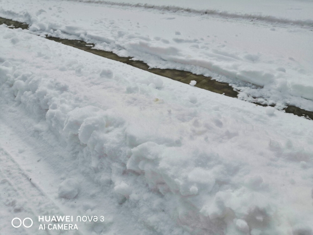 我慢慢地听，雪落下的声音，
闭着眼睛幻想它不会停，
你没法靠近，决不是太薄情，
只是贪恋窗外的好风景。
我慢慢地品，雪落下的声音，
仿佛是你贴着我叫卿卿，
睁开了眼睛，漫天的雪无情
谁来赔这一生的好光景？