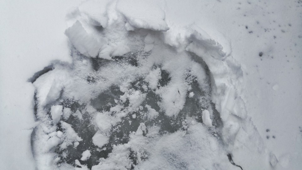 我慢慢地听，雪落下的声音，
闭着眼睛幻想它不会停，
你没法靠近，决不是太薄情，
只是贪恋窗外的好风景。
我慢慢地品，雪落下的声音，
仿佛是你贴着我叫卿卿，
睁开了眼睛，漫天的雪无情
谁来赔这一生的好光景？