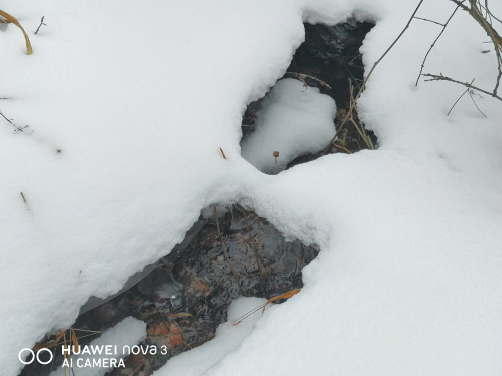 我慢慢地听，雪落下的声音，
闭着眼睛幻想它不会停，
你没法靠近，决不是太薄情，
只是贪恋窗外的好风景。
我慢慢地品，雪落下的声音，
仿佛是你贴着我叫卿卿，
睁开了眼睛，漫天的雪无情
谁来赔这一生的好光景？